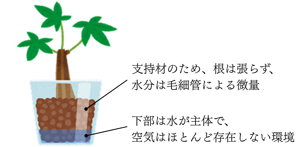 ハイドロカルチャーのイメージ