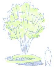 武蔵野にそびえるシンボルツリー案