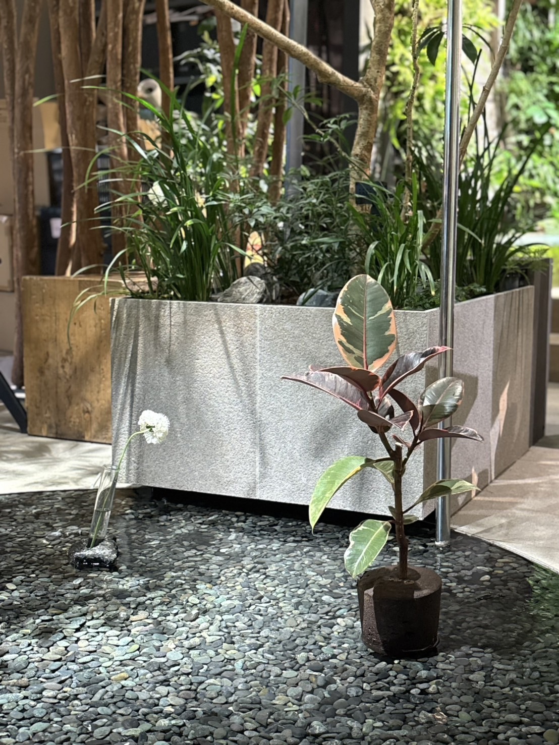実植セット