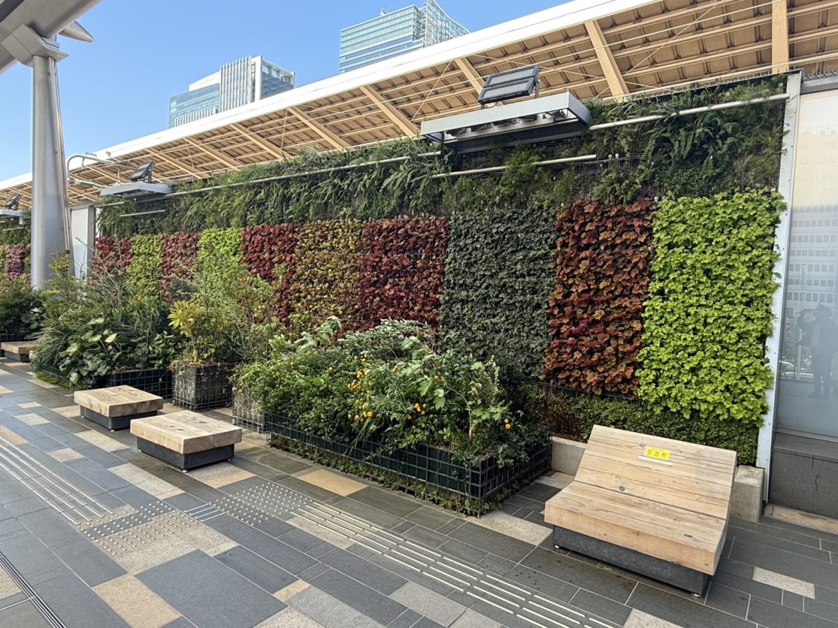 東京駅グランルーフ