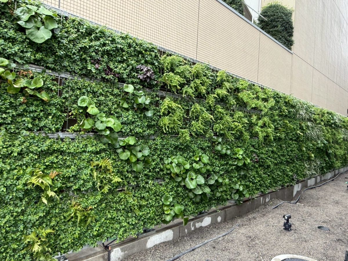 ミタマチテラス